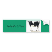 black and white cow bumper sticker bumper stickers by sandypolsky black and white cow bumper sticker bumper stickers