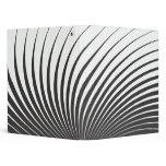 Black and white Curves binders