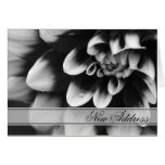 Black and White Dahlia Change of Address Card