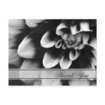 Black and White Dahlia Thank You Postcard
