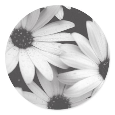 Black and White Daisies Envelope Seal Round Sticker by Initialreaction