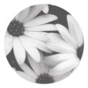 Black and White Daisies Envelope Seal stickers