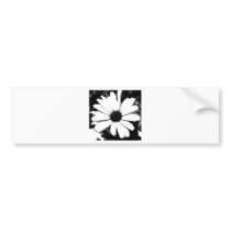 Black and White Daisy Bumper Sticker