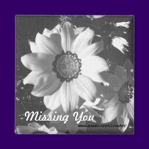 Black and White Daisy magnets by JenuArt Black and White Daisy magnets