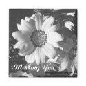Black and White Daisy magnets