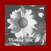 Black and White Daisy magnets by JenuArt Black and White Daisy magnets