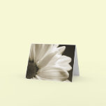 Black and White Daisy Notecard
