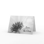 Black and White Daisy Save the Date Announcement cards