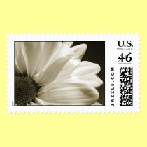 Black and White Daisy Stamp