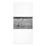 black and white deer rack cards