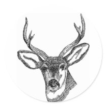 Black and White Deer stickers by angela65 Black and White Deer stickers