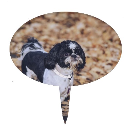 Black And White Dog Cake Toppers, Black And White Dog Cake ...