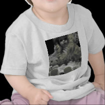 Black and White Doll t-shirts