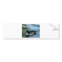 black and white duck bumper stickers