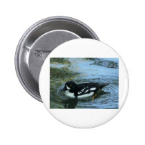 black and white duck buttons