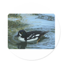 black and white duck round sticker