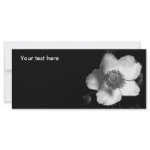 Black and White English Rose Rack Card rack cards
