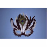 Black and white feather mask photo cutout
