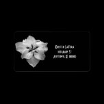 Black and White Floral Address Label labels