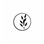 Black and White Floral Design