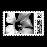 Black and White Floral Postage stamps