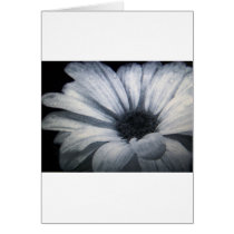 black and White flower Card