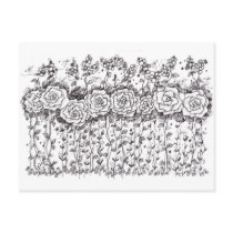 Black and White Flower Garden Post Card Rose Art