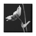 Black and White Flower Magnet magnet