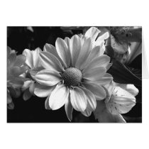 Black and White Flower Photo Greeting Card
