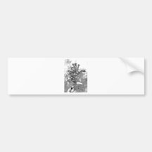 Black and white flowers bumper stickers