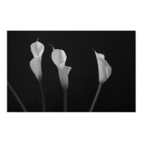 Black and White Flowers Poster posters by ChristyWyoming Black and White Flowers Poster posters