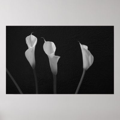 Black and White Flowers Poster
