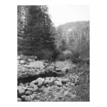 Black and White Forest Creek Poster posters