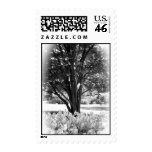 Black and White forest. Stamp