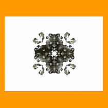Black and White Fractal postcards