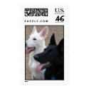 Black and White German Shepherds postage by rickped Black and White German Shepherds postage