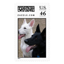 Black and White German Shepherds postage by rickped Black and White German Shepherds postage