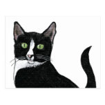 Black and White Green Eyed Cat postcards
