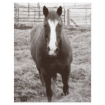 Black and white horse letterhead template