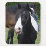 Black and White Horse Portrait Mousepad mousepads