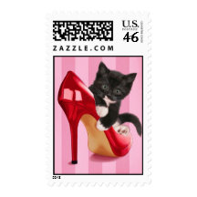 Black and White Kitten in Red Shoe Stamp
