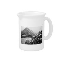 Black and white landscape with hydrangeas beverage pitchers