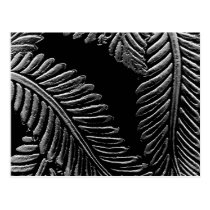 Black and White Leaves postcards