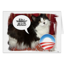 Black and White Longhaired Cat cards