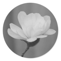 Black and White Magnolia Centennial Bloom stickers