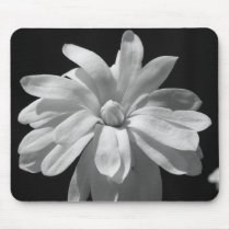 Black and White Magnolia Centennial mousepads