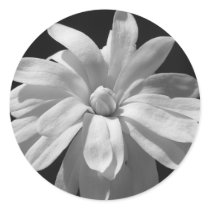 Black and White Magnolia Centennial stickers