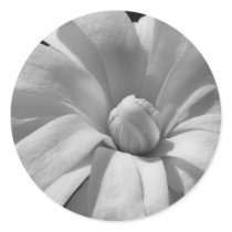 Black and White Magnolia Centennial stickers