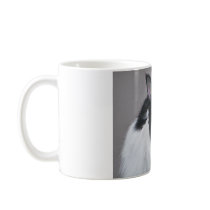 Black and White Maine Coon cat. Mug