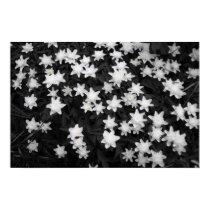 Black and White Meadows posters